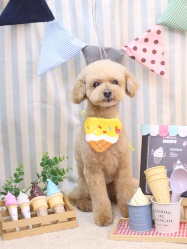 20250508ココアくん